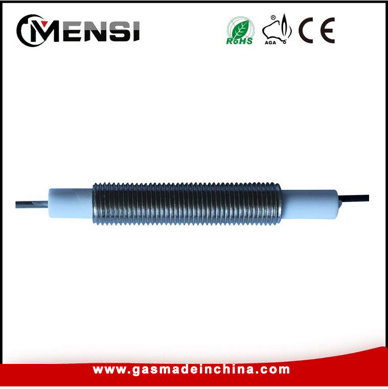 Ceramic electrode